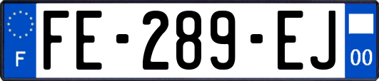 FE-289-EJ