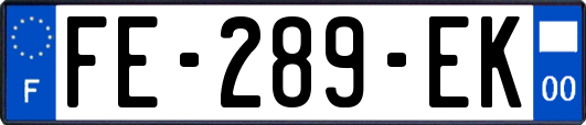 FE-289-EK