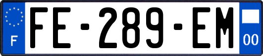 FE-289-EM