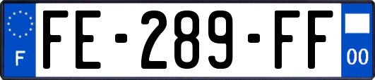 FE-289-FF