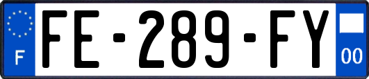FE-289-FY