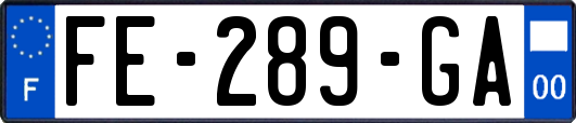 FE-289-GA