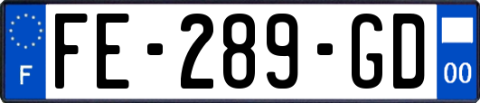 FE-289-GD