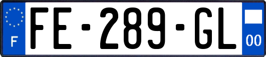 FE-289-GL