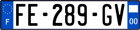 FE-289-GV