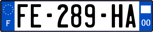 FE-289-HA