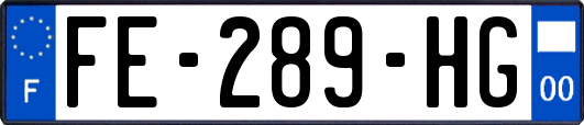 FE-289-HG
