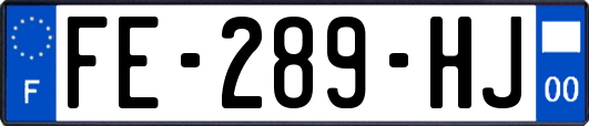 FE-289-HJ