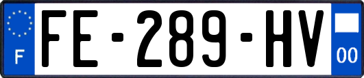 FE-289-HV