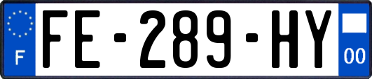FE-289-HY
