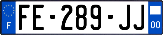 FE-289-JJ