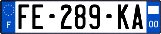 FE-289-KA