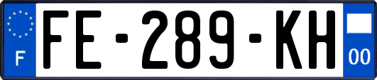 FE-289-KH