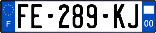 FE-289-KJ