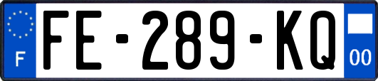 FE-289-KQ