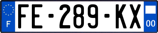 FE-289-KX