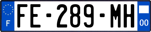 FE-289-MH
