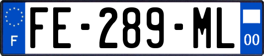 FE-289-ML