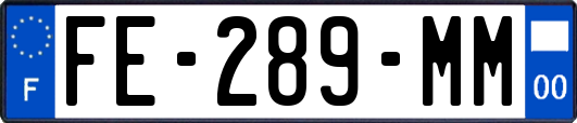 FE-289-MM