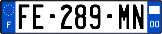 FE-289-MN