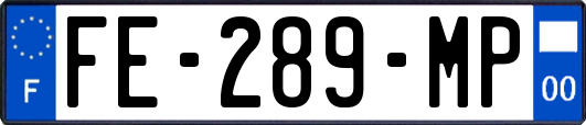 FE-289-MP