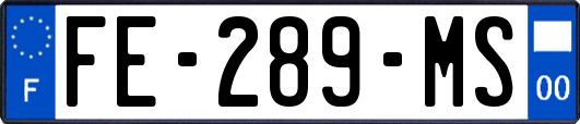 FE-289-MS