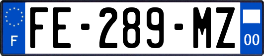 FE-289-MZ