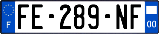 FE-289-NF