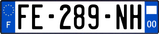 FE-289-NH