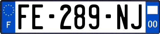 FE-289-NJ
