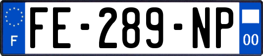 FE-289-NP