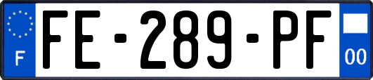 FE-289-PF