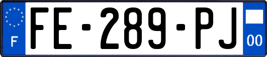 FE-289-PJ