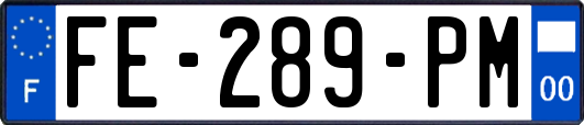 FE-289-PM