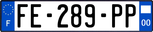 FE-289-PP