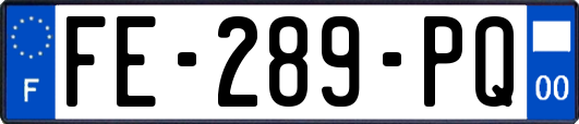 FE-289-PQ