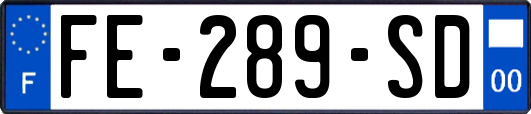FE-289-SD