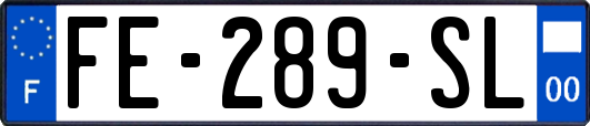 FE-289-SL