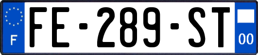 FE-289-ST