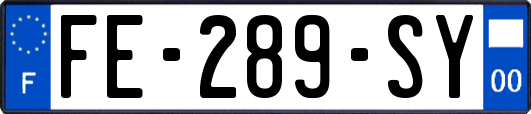 FE-289-SY