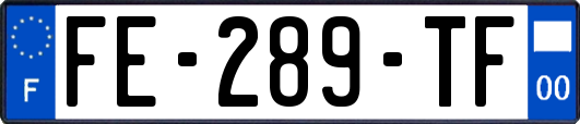 FE-289-TF