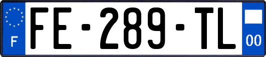 FE-289-TL