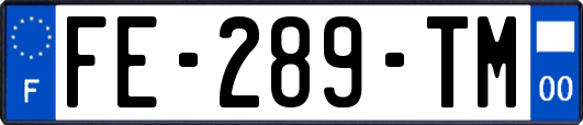 FE-289-TM