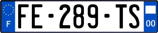 FE-289-TS