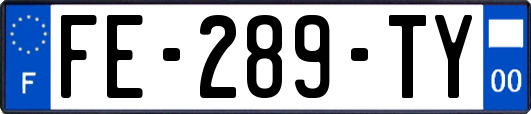 FE-289-TY