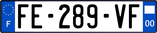 FE-289-VF