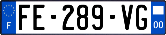 FE-289-VG