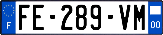 FE-289-VM
