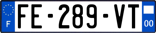 FE-289-VT