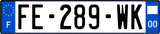 FE-289-WK